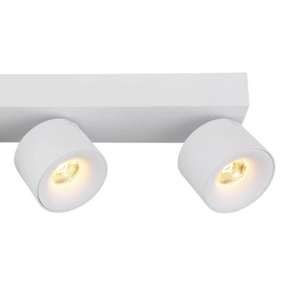 Globo - LED spot 4xLED/6W/230V wit