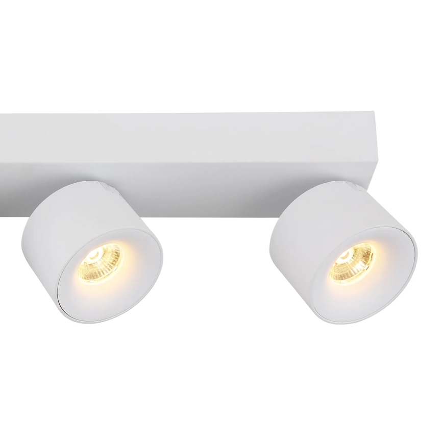 Globo - LED spot 4xLED/6W/230V wit