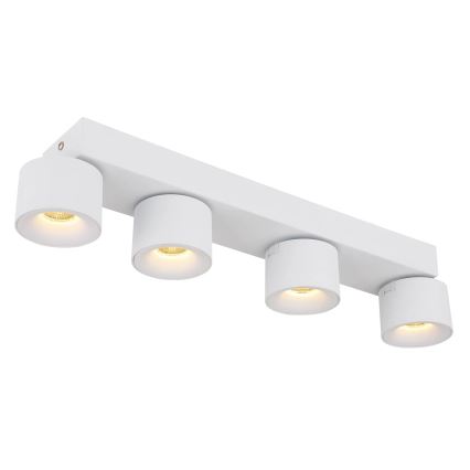 Globo - LED spot 4xLED/6W/230V wit