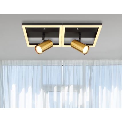 Globo - LED Plafondlamp 2xGU10/5W/230V + LED/22W/230V