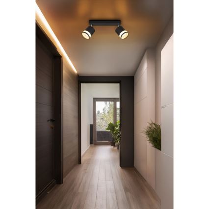 Globo - LED spot 2xGX53/7W/230V 3000K
