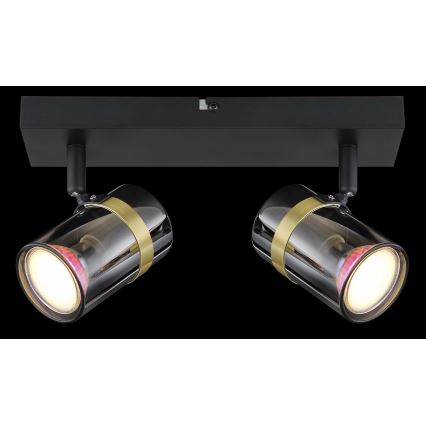 Globo - Spot 2xGU10/8W/230V
