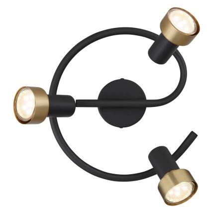 Globo - Spot  3xGU10/25W/230V zwart/goud