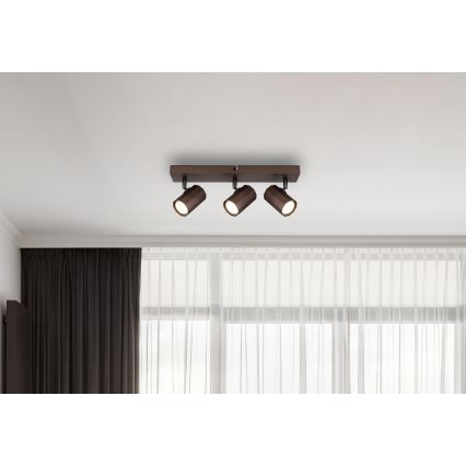 Globo - Spot 3xGU10/25W/230V bruin