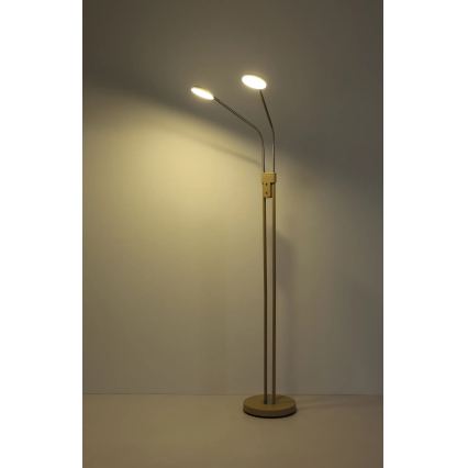 Globo - Dimbare LED-vloerlamp 2xLED/6,5W/230V 2700/3350/4000K beige