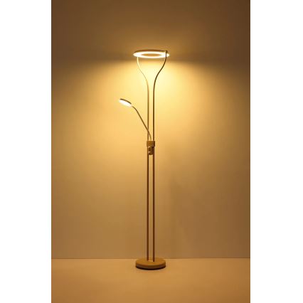 Globo - Dimbare LED-vloerlamp LED/20W/230V + LED/4W 3000K