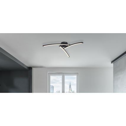 Globo - LED Bevestigde Hanglamp 3xLED/6W/230V 3000/4000/6000K