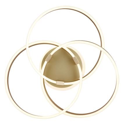 Globo - dimbare LED-plafondlamp LED/56W/230V 2700-6000K 57,5x60 cm goudkleurig + afstandsbediening