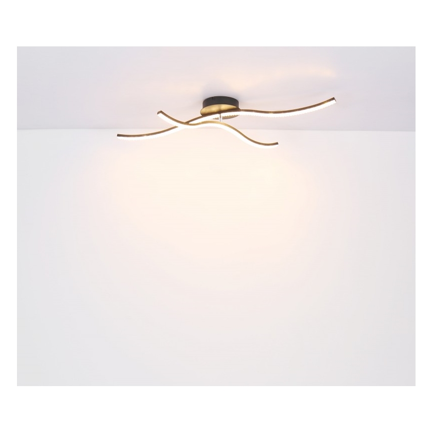 Globo - LED Hanglamp voor Oppervlak Montage LED/20W/230V