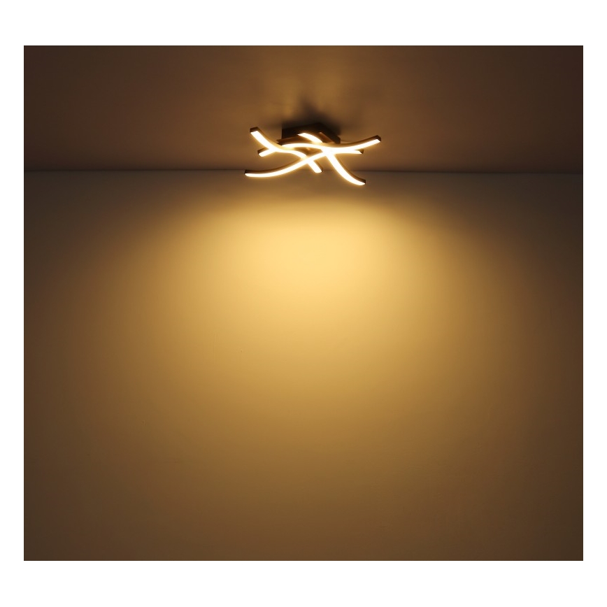 Globo - LED Hanglamp voor Oppervlak Montage 4xLED/5W/230V