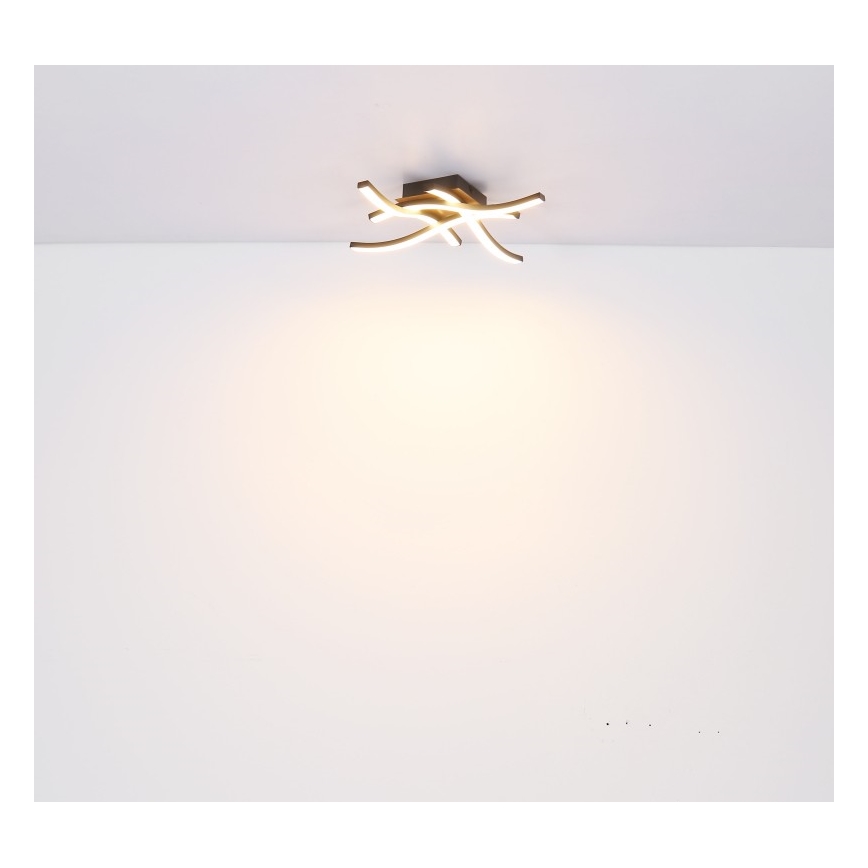 Globo - LED Hanglamp voor Oppervlak Montage 4xLED/5W/230V