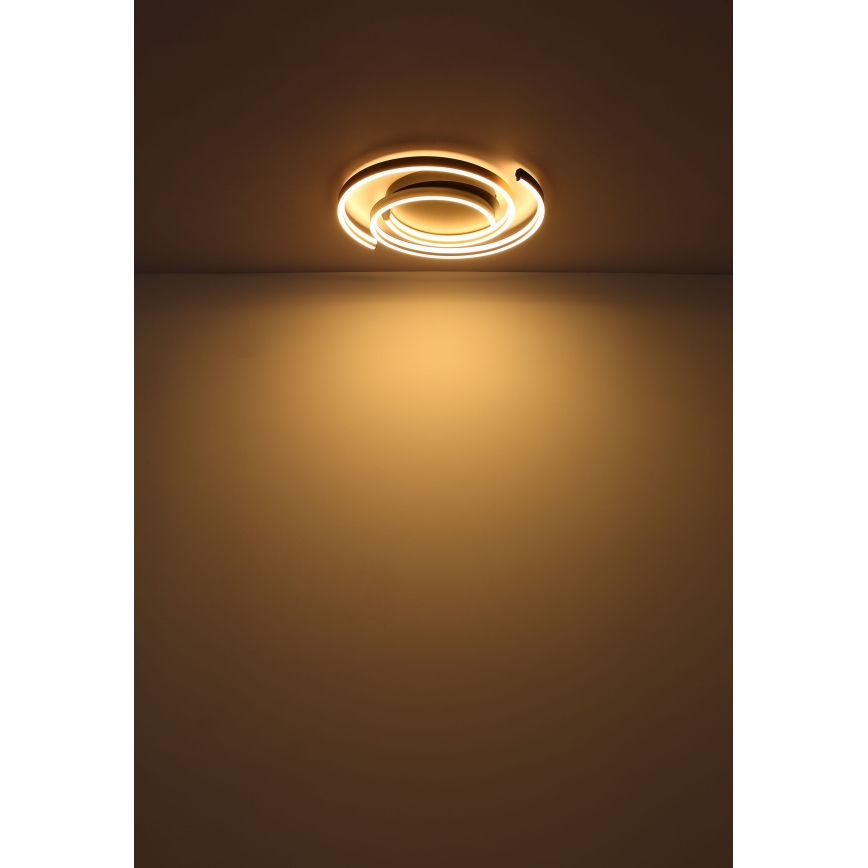 Globo - LED Plafondlamp LED/38W/230V