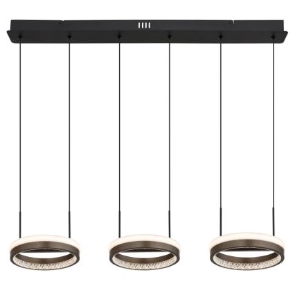 Globo - LED-hanglamp met kabel LED/40W/230V 3000/4000/6000K