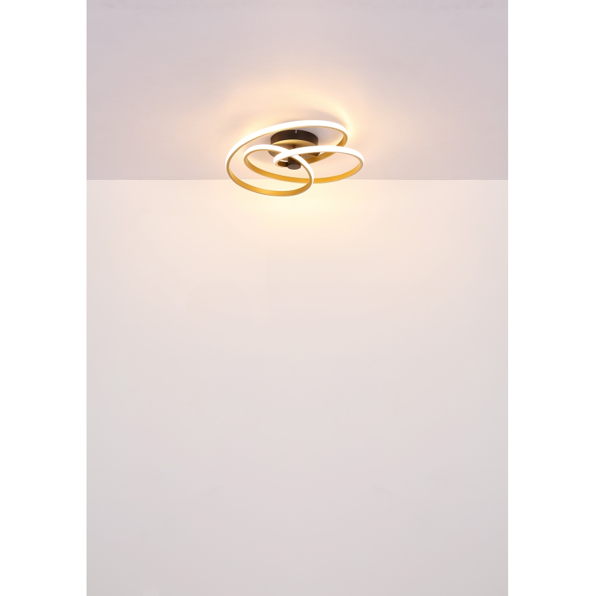 Globo - LED Bevestigde Hanglamp LED/40W/230V 3000K goud/zwart