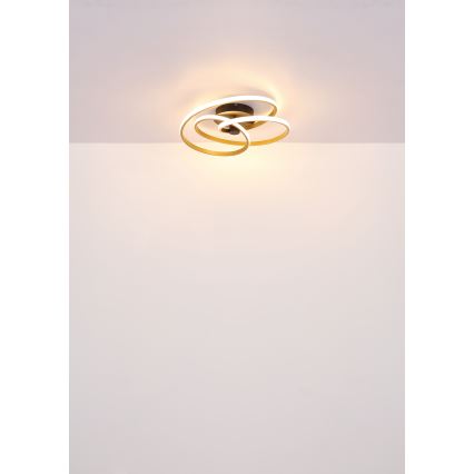 Globo - LED Bevestigde Hanglamp LED/40W/230V 3000K mat chroom/zwart