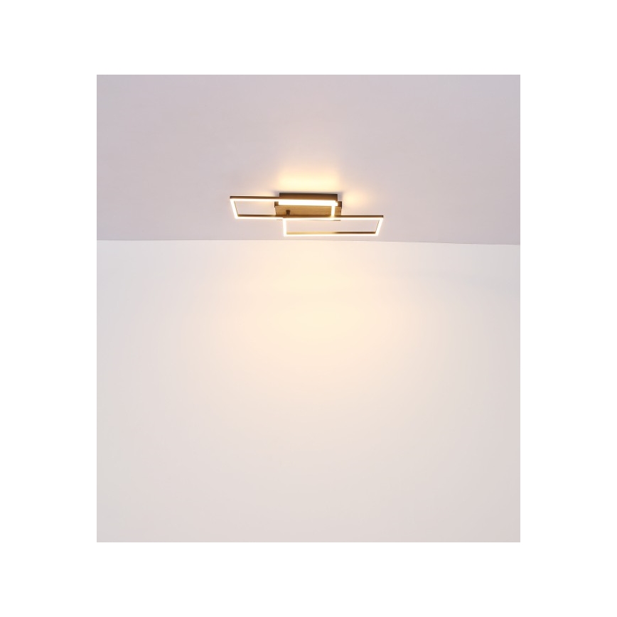 Globo - LED plafondlamp LED/40W/230V 62x27 cm mat chroom/zwart