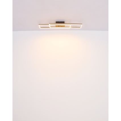 Globo - LED plafondlamp LED/30W/230V 3000K 60x80 cm zwart