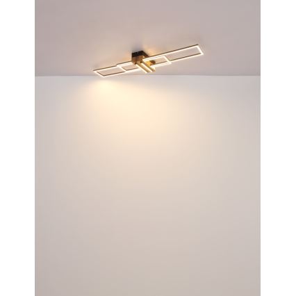 Globo - LED plafondlamp LED/40W/230V 3000K 25x100 cm zwart