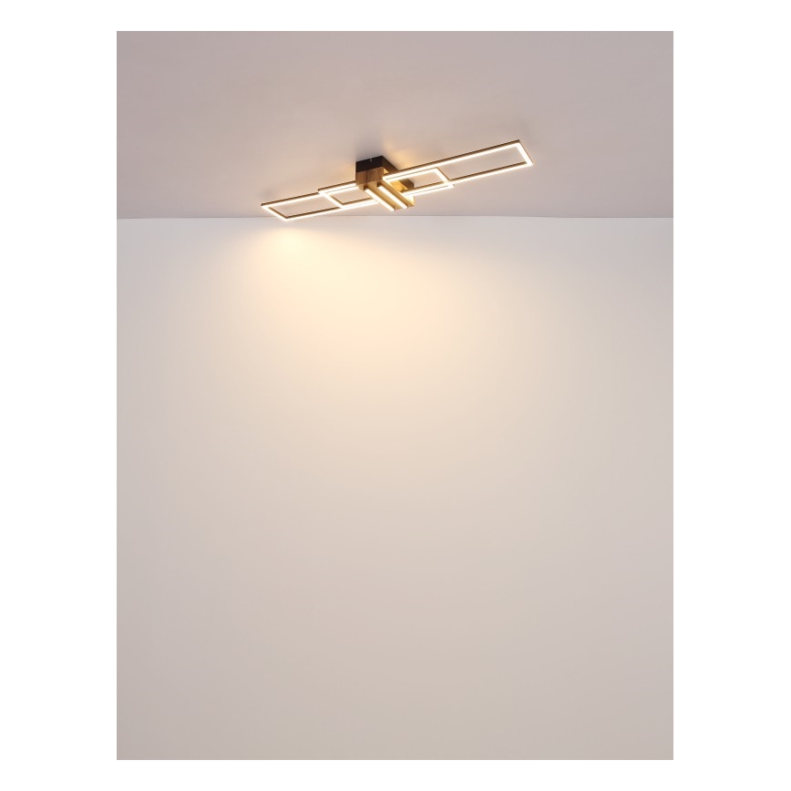 Globo - LED plafondlamp LED/40W/230V 3000K 25x100 cm zwart