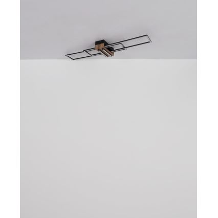 Globo - LED plafondlamp LED/40W/230V 3000K 25x100 cm zwart