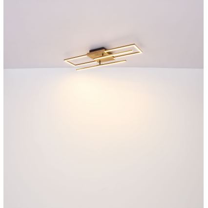 Globo - LED Plafondlamp LED/18W/230V