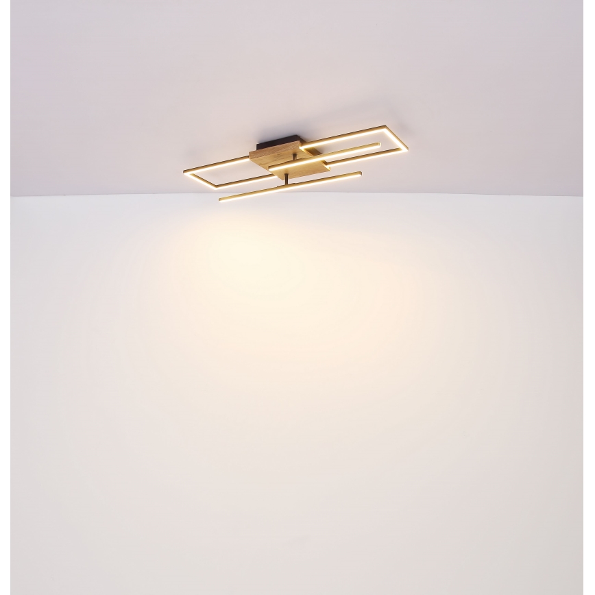 Globo - LED Plafondlamp LED/18W/230V