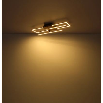Globo - LED plafondlamp LED/24W/230V 3000K 20x80 cm
