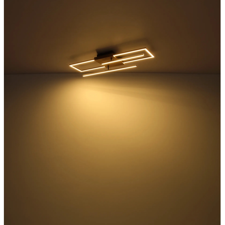 Globo - LED plafondlamp LED/24W/230V 3000K 20x80 cm