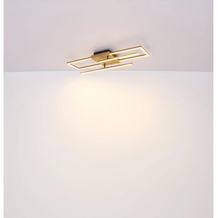 Globo - LED plafondlamp LED/24W/230V 3000K 20x80 cm