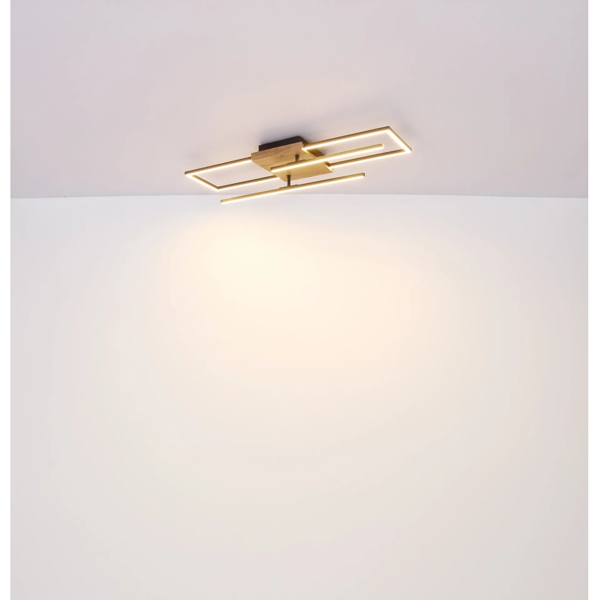 Globo - LED plafondlamp LED/24W/230V 3000K 20x80 cm