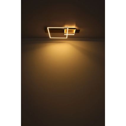 Globo 67289D1 - LED-plafondlamp VANNI LED/24W/230V 40x75 cm bruin/zwart