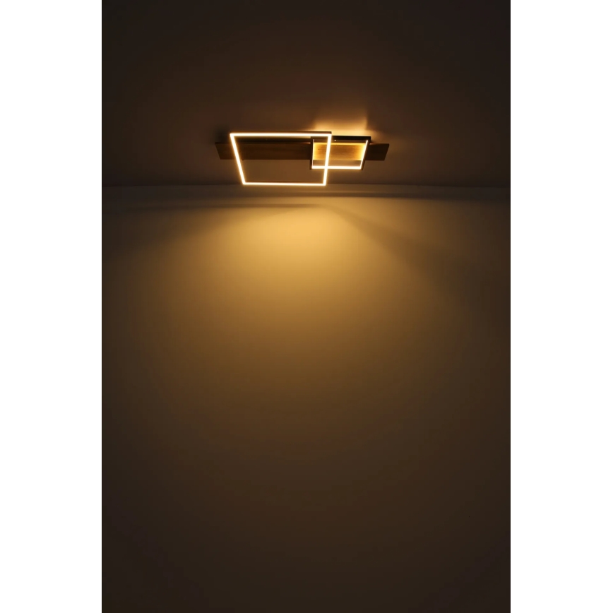 Globo 67289D1 - LED-plafondlamp VANNI LED/24W/230V 40x75 cm bruin/zwart