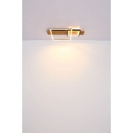 Globo 67289D1 - LED-plafondlamp VANNI LED/24W/230V 40x75 cm bruin/zwart