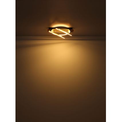 Globo - LED Plafondlamp LED/32W/230V