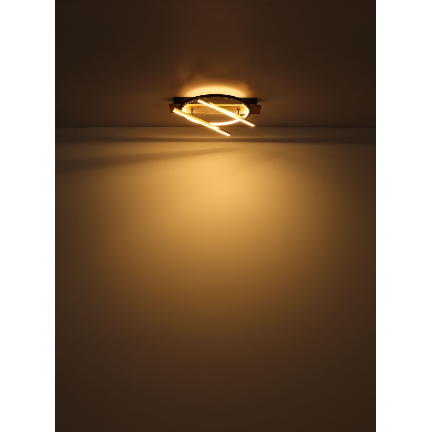Globo - LED Plafondlamp LED/32W/230V