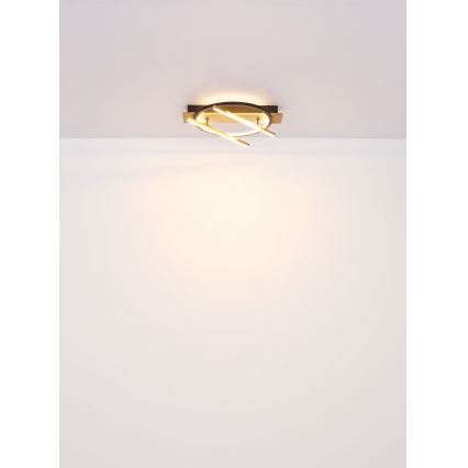 Globo - LED Plafondlamp LED/32W/230V