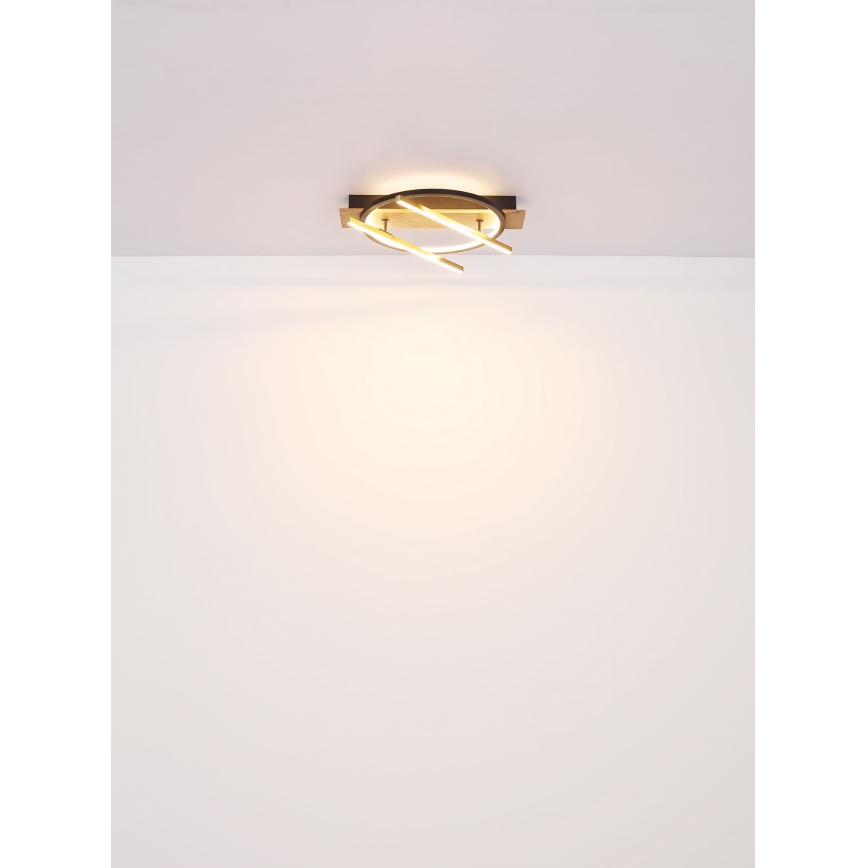 Globo - LED Plafondlamp LED/32W/230V
