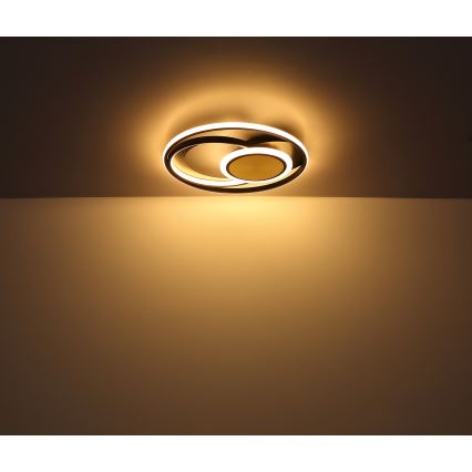 Globo - LED Plafondlamp LED/24W/230V