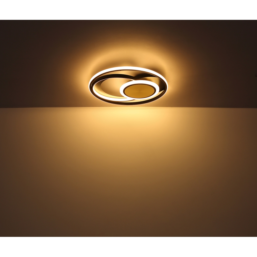 Globo - LED Plafondlamp LED/24W/230V
