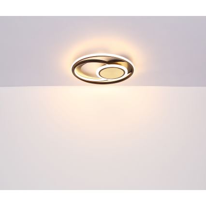 Globo - LED Plafondlamp LED/24W/230V