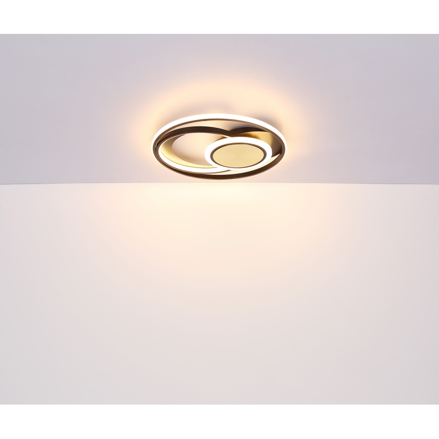 Globo - LED Plafondlamp LED/24W/230V
