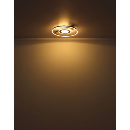 Globo - LED Plafondlamp LED/24W/230V