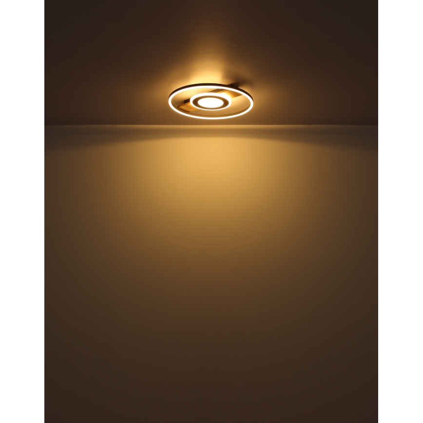 Globo - LED Plafondlamp LED/24W/230V