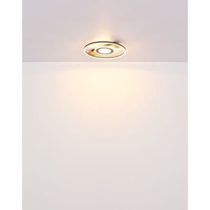 Globo - LED Plafondlamp LED/24W/230V