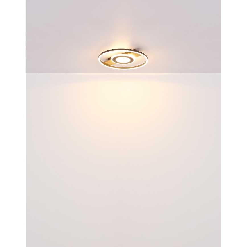 Globo - LED Plafondlamp LED/24W/230V