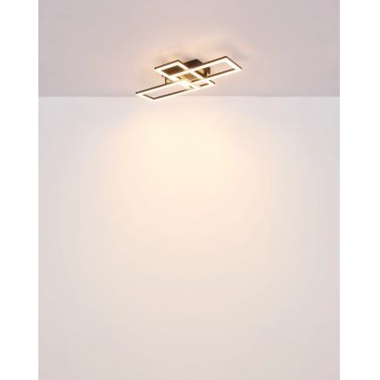 Globo - LED Plafondlamp LED/24W/230V