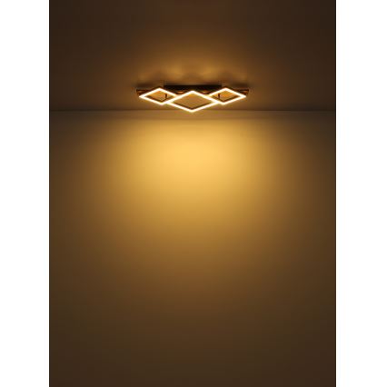 Globo - LED Plafondlamp LED/24W/230V