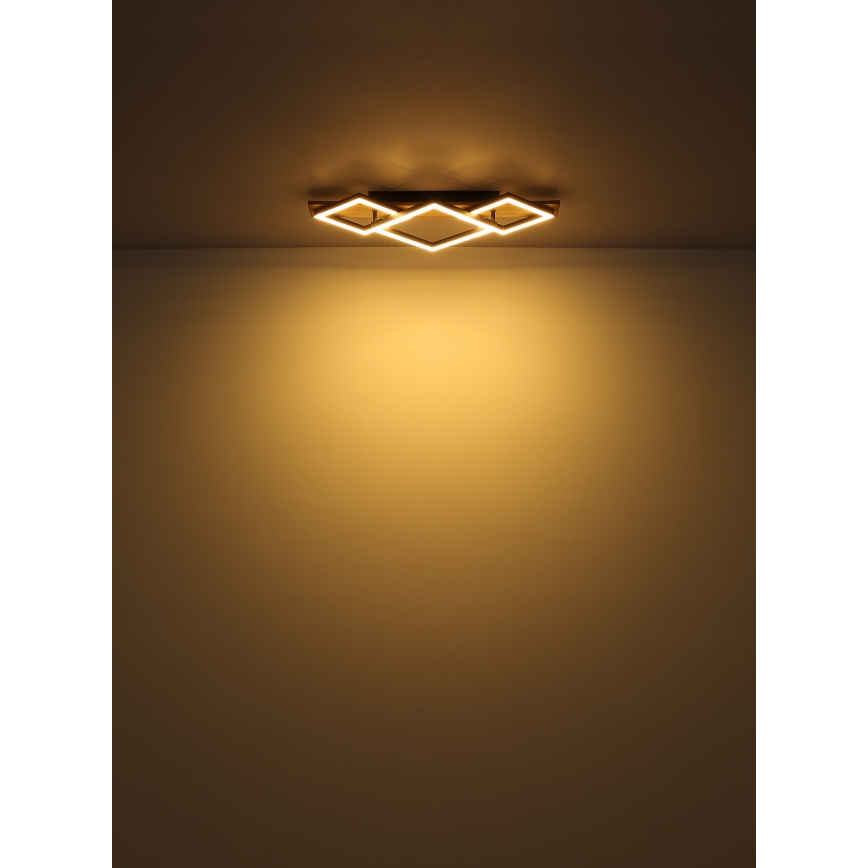 Globo - LED Plafondlamp LED/24W/230V