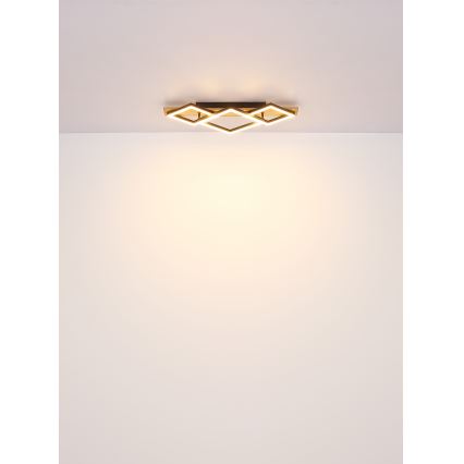 Globo - LED Plafondlamp LED/24W/230V
