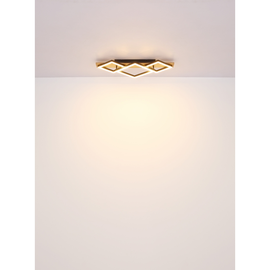 Globo - LED Plafondlamp LED/24W/230V